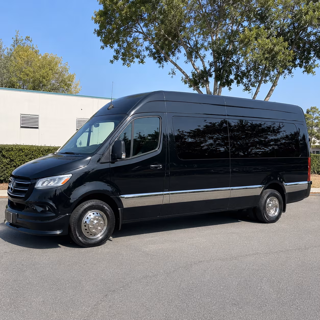 10 passenger sprinter van